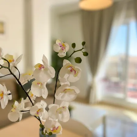 Apartment Beautifull Penthouse At Calanova Golf Malaga